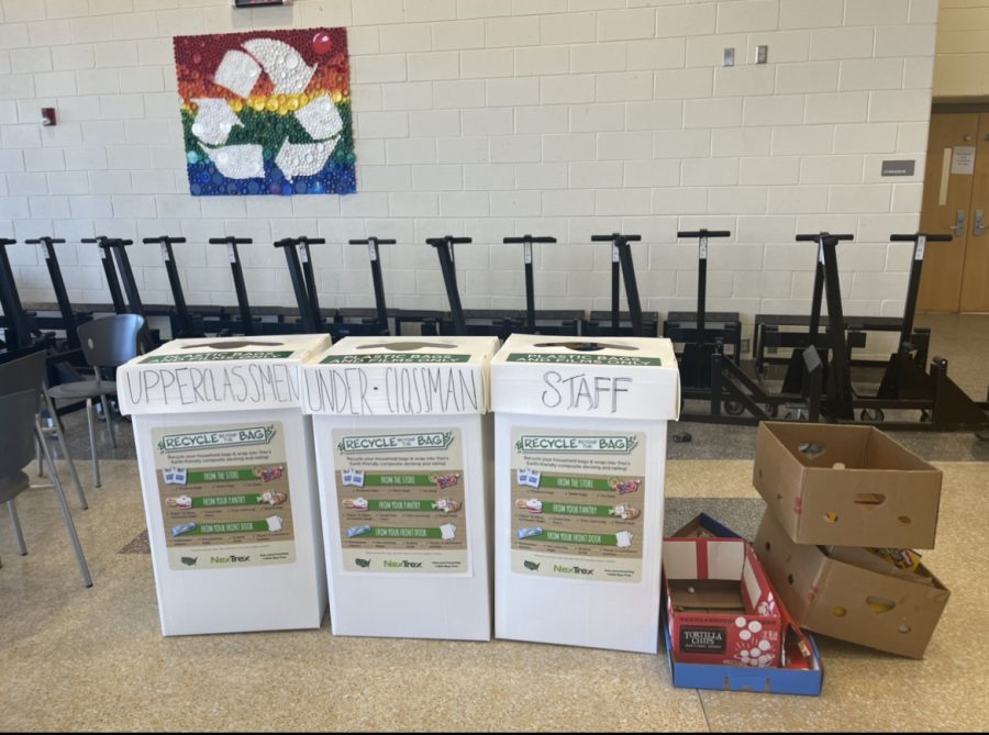 Recycling bins located in the commons