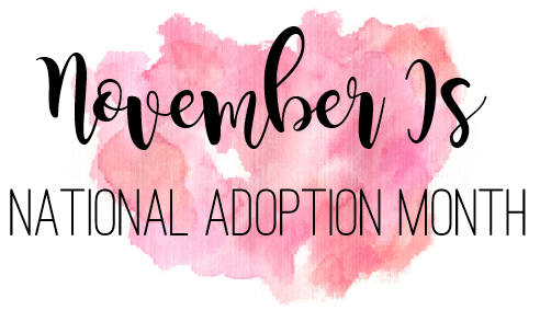 November is National Adoption Awareness Month