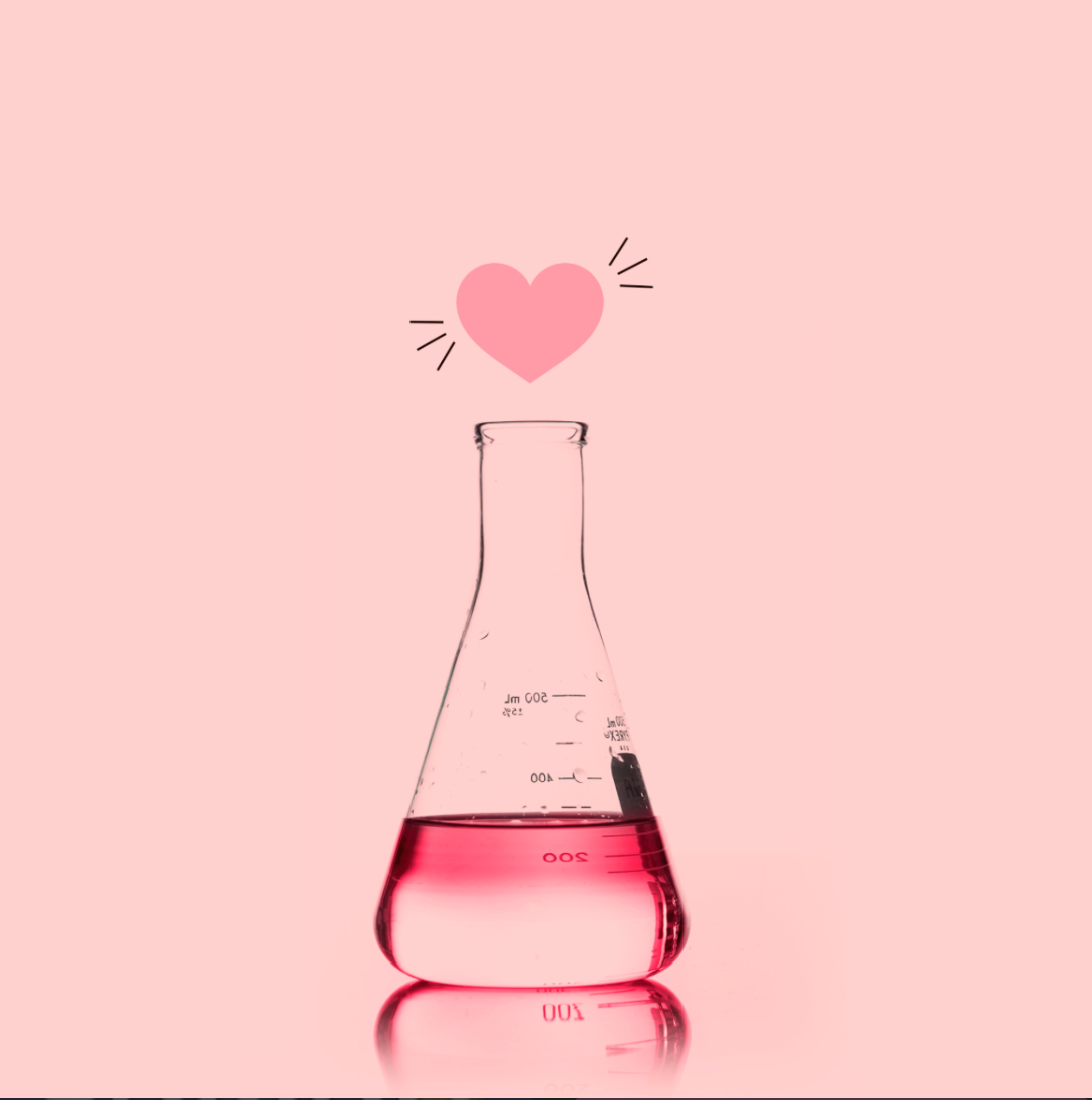 Loves Chemistry: How the Human Body Reacts to Love