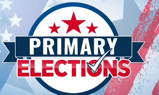 What is the Primary Election?