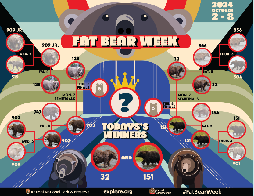 Fat Bear Week