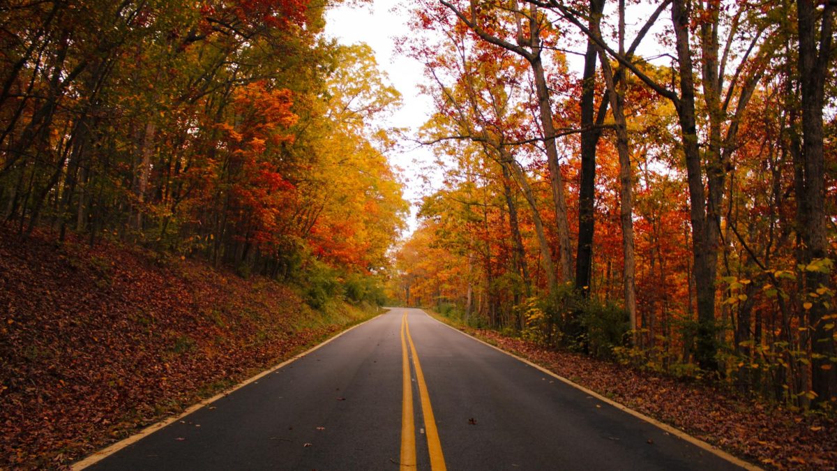 Powhatan in Color: The Best Local Spots to Enjoy Fall