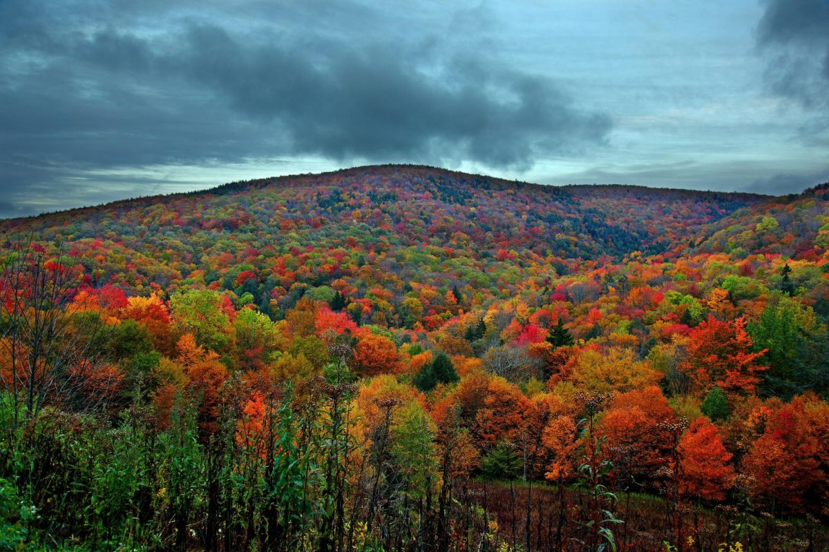 Best Places to Travel for Thanksgiving