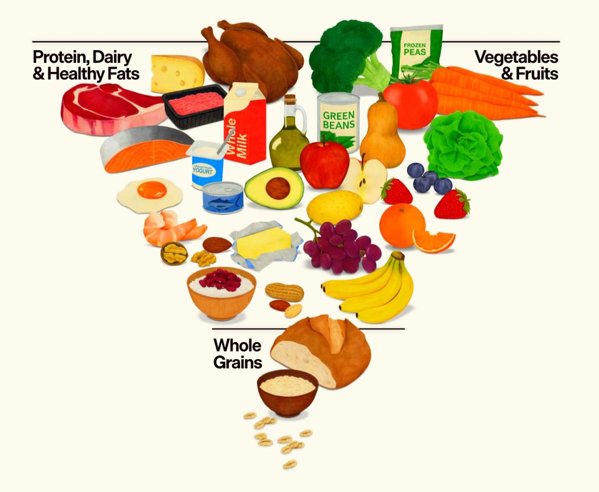New Food Pyramid!