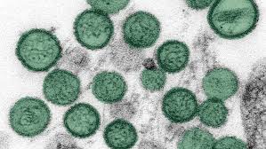 Hantavirus Spreading